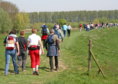 Plantaardig en wandelen